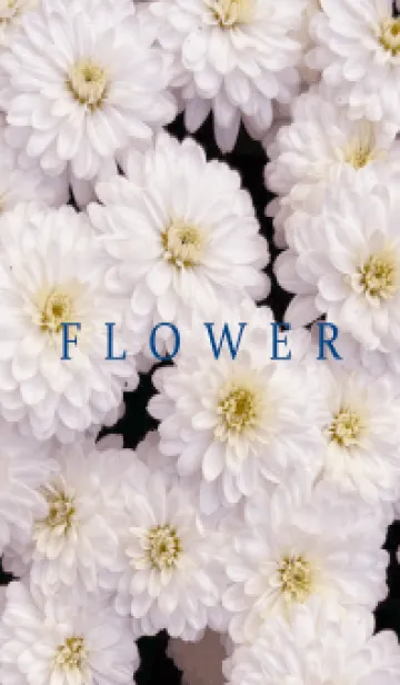 [LINE着せ替え] FLOWER -KIKU- 52の画像1