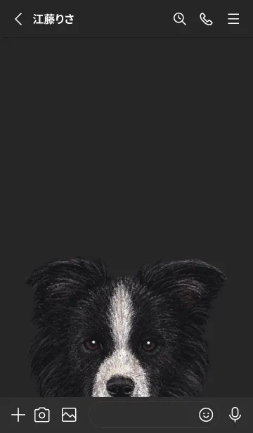 [LINE着せ替え] ICON DOG - ボーダーコリー - BLACK/01の画像2