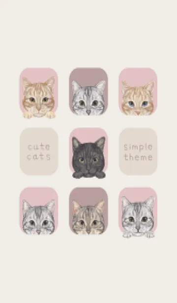 [LINE着せ替え] CATS - アメショ - ピンクグレーの画像1