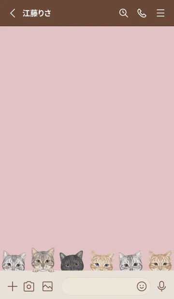 [LINE着せ替え] CATS - アメショ - ピンクグレーの画像2