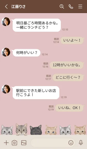 [LINE着せ替え] CATS - アメショ - ピンクグレーの画像3