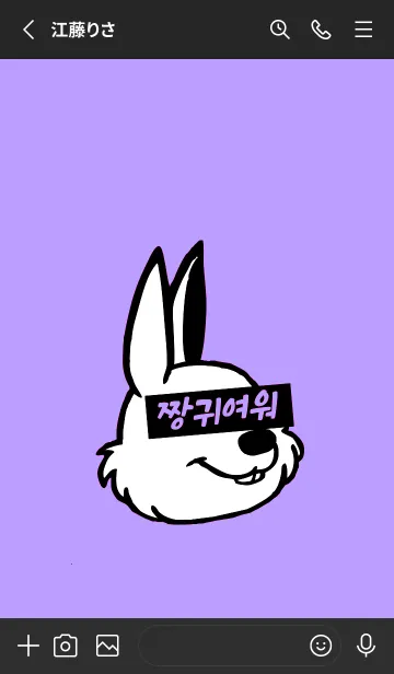 [LINE着せ替え] コリアン ラビット 100の画像2