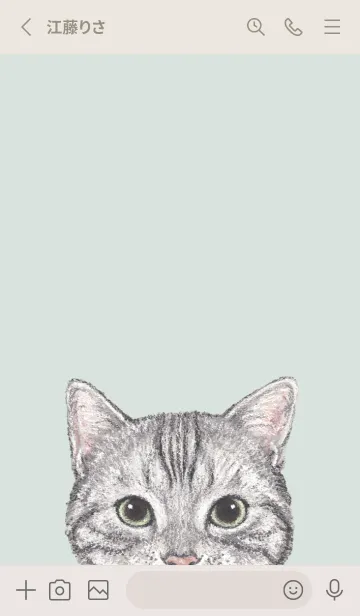 [LINE着せ替え] ICON CAT - アメショ - PASTEL GR/01の画像2