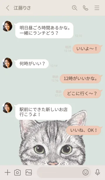 [LINE着せ替え] ICON CAT - アメショ - PASTEL GR/01の画像3