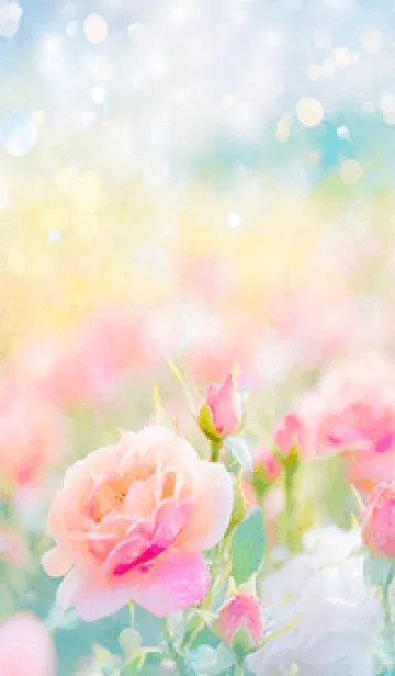 [LINE着せ替え] 薔薇(バラ)の花の着せかえ(R371)の画像1