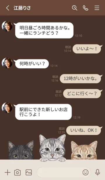 [LINE着せ替え] 猫 - アメショ - こげ茶色[rev.]の画像3