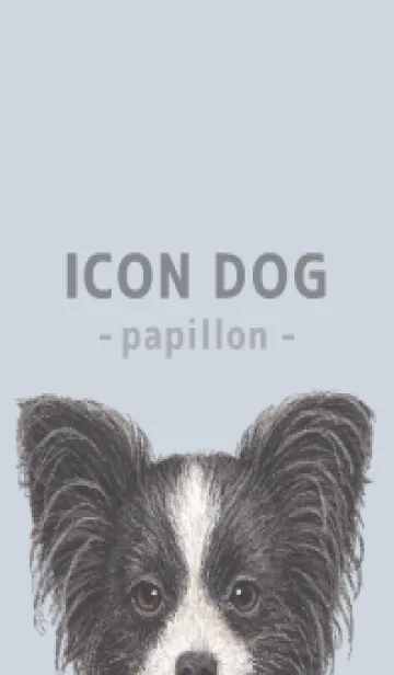 ICON DOG - パピヨン - PASTEL BL/05の着せ替えメイン画像
