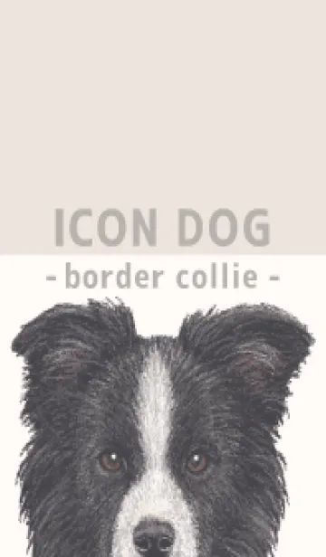 [LINE着せ替え] ICON DOG - ボーダーコリー - BEIGE/01の画像1