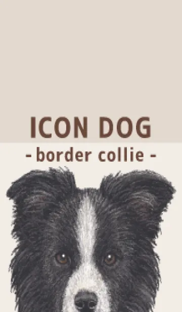 [LINE着せ替え] ICON DOG - ボーダーコリー - BROWN/01の画像1