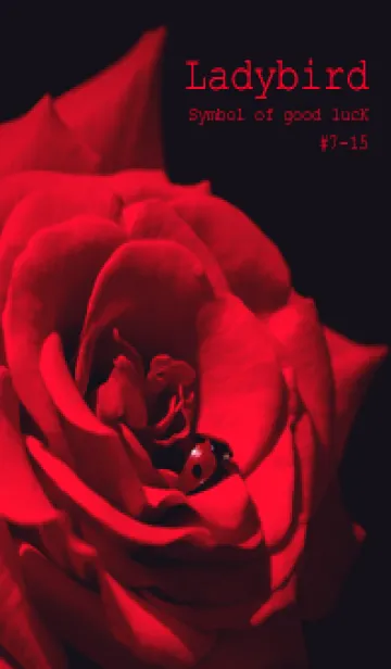 [LINE着せ替え] Ladybird Symbol of good luck #7-15の画像1