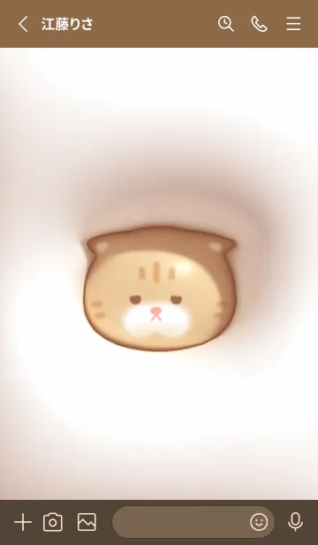 [LINE着せ替え] pinkbrown♡ぷっくりブサカワ猫08_1の画像2