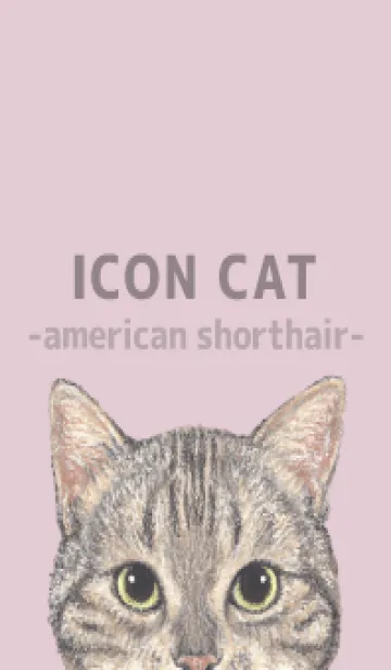 [LINE着せ替え] ICON CAT - アメショ - PASTEL PK/02の画像1