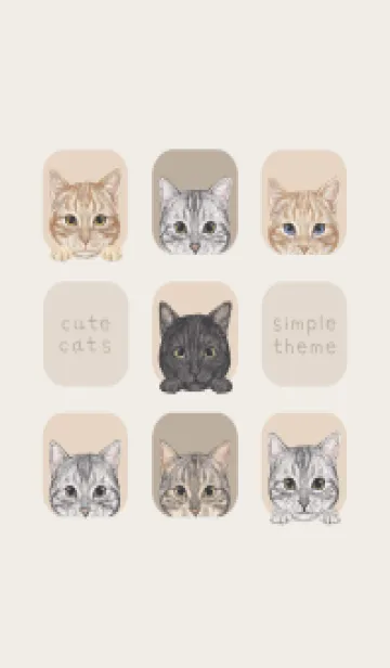 CATS - アメショ - ベージュグレーの着せ替えメイン画像