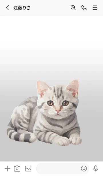[LINE着せ替え] American Shorthair Cat Theme (JP)の画像2