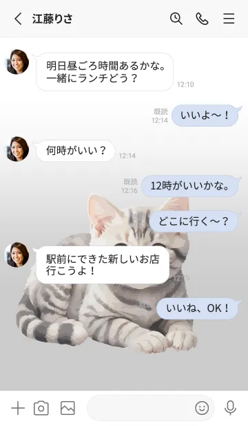 [LINE着せ替え] American Shorthair Cat Theme (JP)の画像3