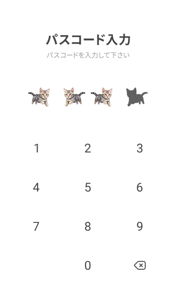 [LINE着せ替え] American Shorthair Cat Theme (JP)の画像4