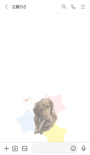 [LINE着せ替え] ししまる☻の画像2