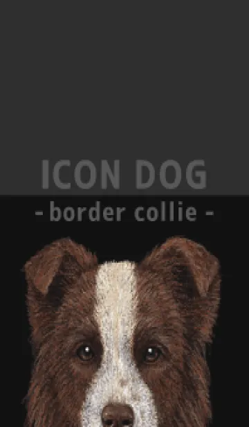 [LINE着せ替え] ICON DOG - ボーダーコリー - BLACK/02の画像1