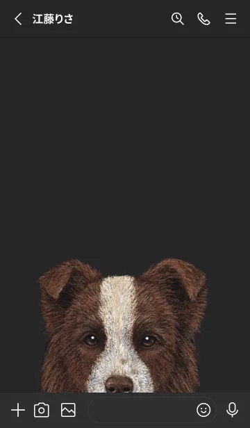 [LINE着せ替え] ICON DOG - ボーダーコリー - BLACK/02の画像2