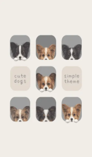 [LINE着せ替え] DOGS - パピヨン - アッシュグレーの画像1