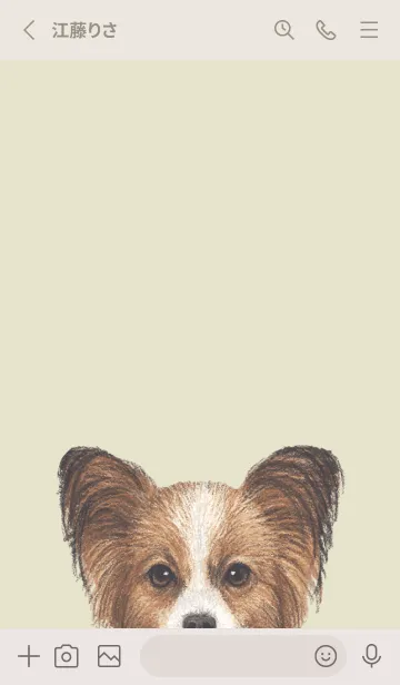 [LINE着せ替え] ICON DOG - パピヨン - PASTEL YE/06の画像2