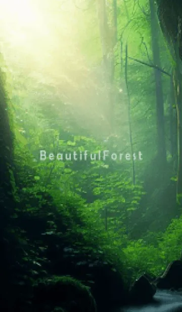 [LINE着せ替え] Beautiful Forest-MEKYM 24の画像1