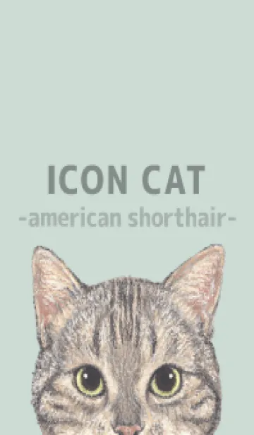 [LINE着せ替え] ICON CAT - アメショ - PASTEL GR/02の画像1