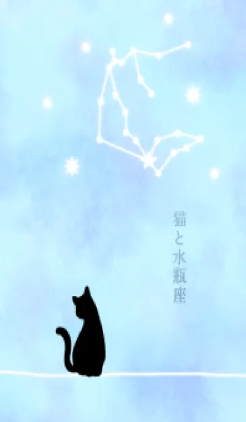 [LINE着せ替え] 【12星座】水瓶座と猫の画像1