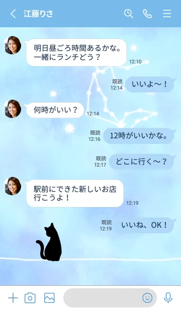 [LINE着せ替え] 【12星座】水瓶座と猫の画像3