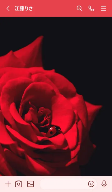 [LINE着せ替え] Ladybird Symbol of good luck #7-16の画像2