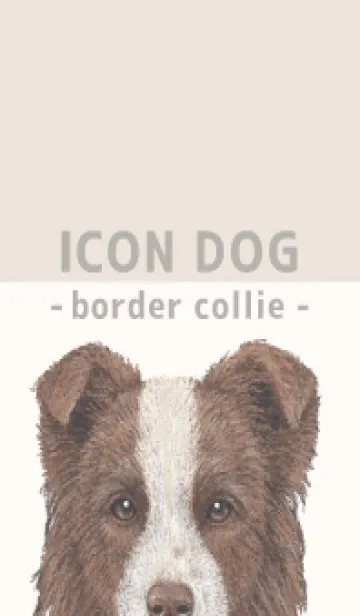 [LINE着せ替え] ICON DOG - ボーダーコリー - BEIGE/02の画像1