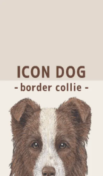 [LINE着せ替え] ICON DOG - ボーダーコリー - BROWN/02の画像1