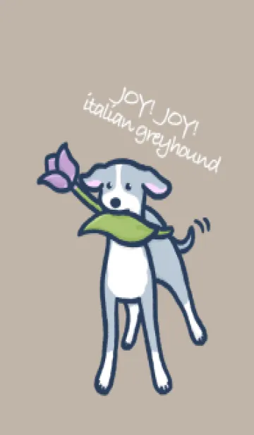 JOY！JOY！italian greyhoundの着せ替えメイン画像
