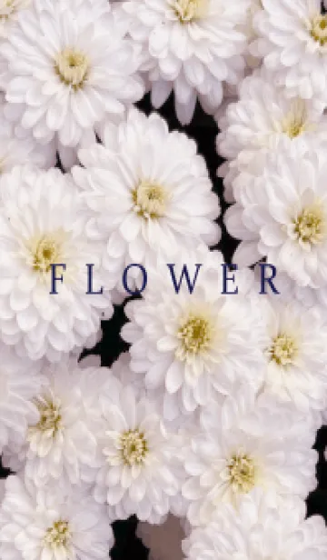 [LINE着せ替え] FLOWER -KIKU- 61の画像1