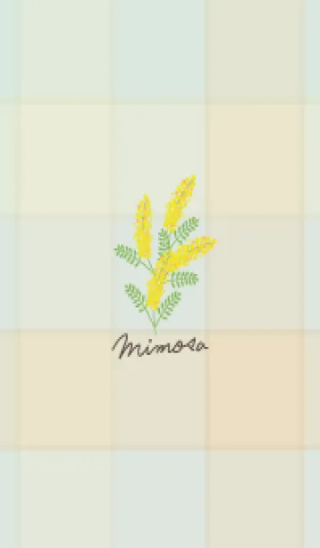 [LINE着せ替え] シンプル ミモザ20の画像1