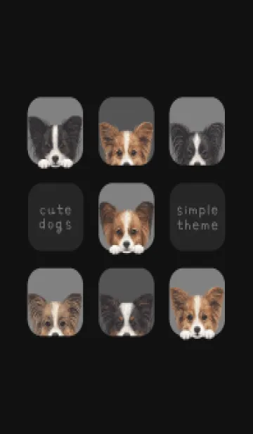 [LINE着せ替え] DOGS - パピヨン - ブラック/グレーの画像1