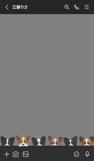 [LINE着せ替え] DOGS - パピヨン - ブラック/グレーの画像2