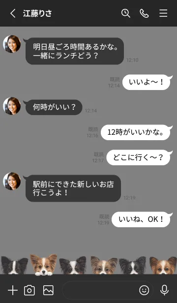 [LINE着せ替え] DOGS - パピヨン - ブラック/グレーの画像3