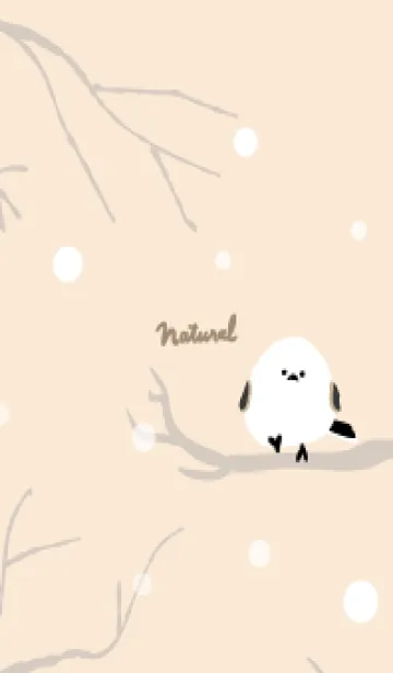 [LINE着せ替え] シマエナガ 雪22の画像1