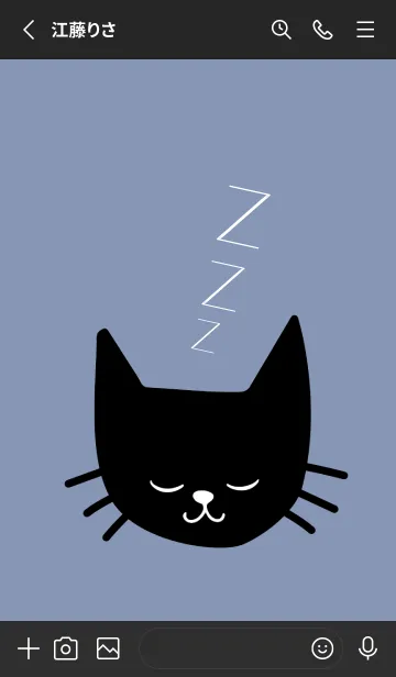 [LINE着せ替え] スリープ キャット 2の画像2