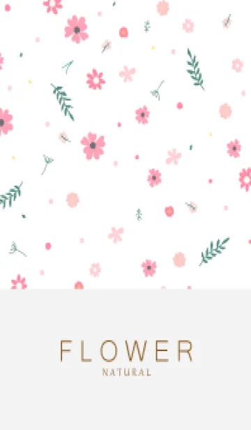 FLOWER WHITE -NATURAL- 72の着せ替えメイン画像