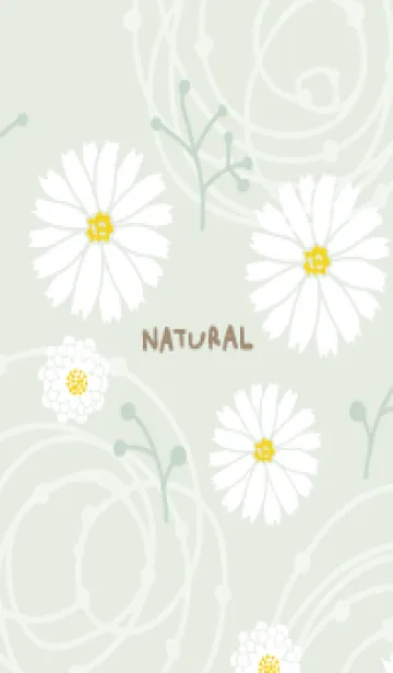 [LINE着せ替え] シンプル 白色の花3の画像1