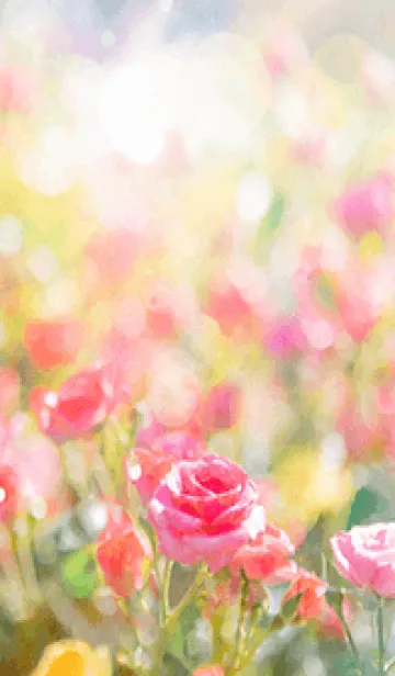 [LINE着せ替え] 薔薇(バラ)の花の着せかえ(R624)の画像1