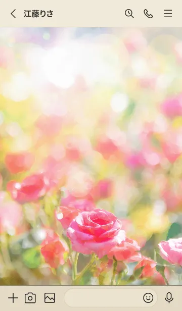 [LINE着せ替え] 薔薇(バラ)の花の着せかえ(R624)の画像2