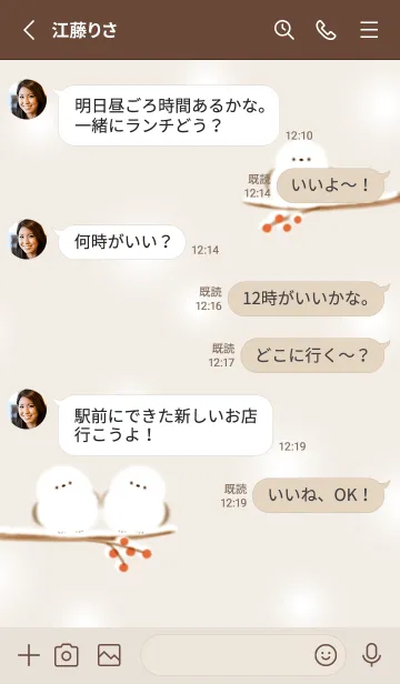 [LINE着せ替え] beige♡雪とシマエナガ04_1の画像3