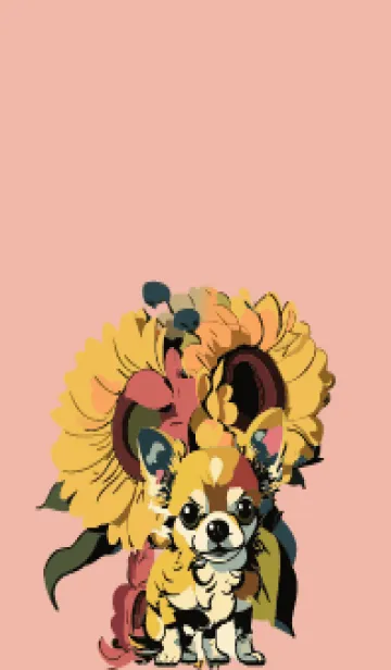 [LINE着せ替え] pink & light blue ひまわりとチワワの画像1