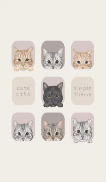 [LINE着せ替え] CATS - アメショ - ブラウングレーの画像1