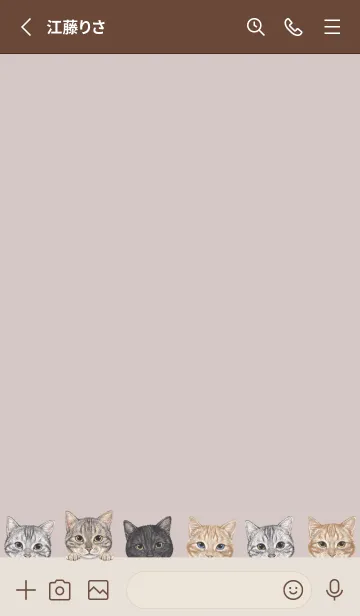 [LINE着せ替え] CATS - アメショ - ブラウングレーの画像2