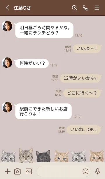 [LINE着せ替え] CATS - アメショ - ブラウングレーの画像3