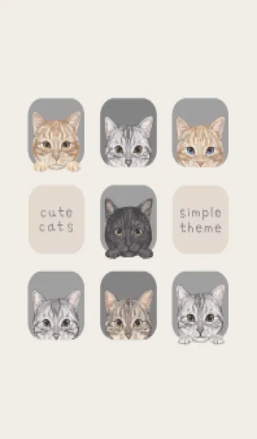 [LINE着せ替え] CATS - アメショ - アッシュグレーの画像1